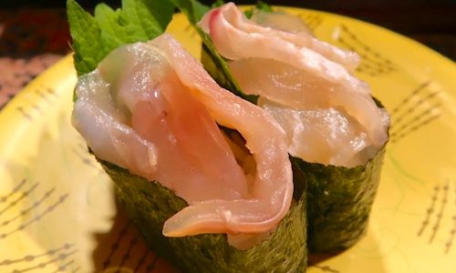 東京 KITTE 回転寿司「根室花まる」