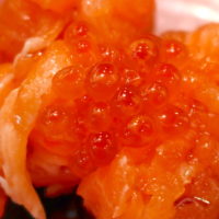 回転寿司「まぐろ問屋 やざえもん」ではクリスマスには鮭を食え！