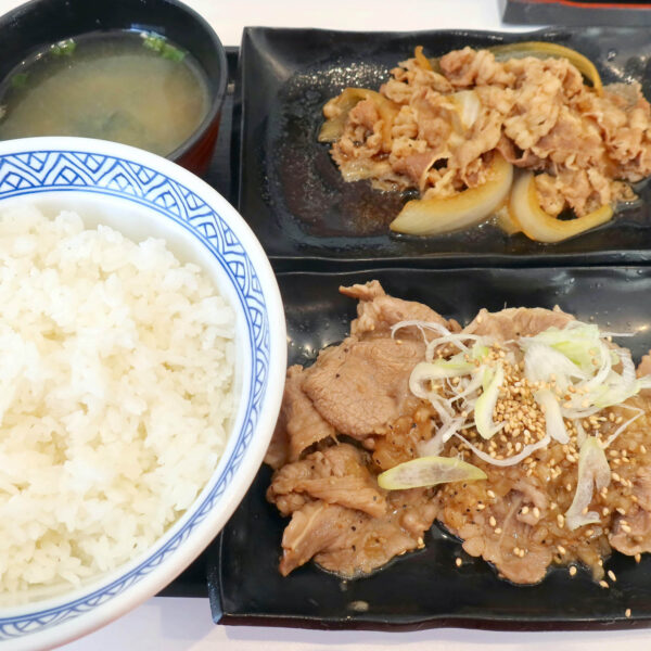 牛皿・ねぎ塩牛カルビ定食（690円）