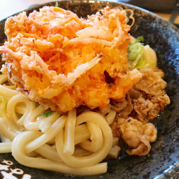 かき揚げと牛肉とうどん