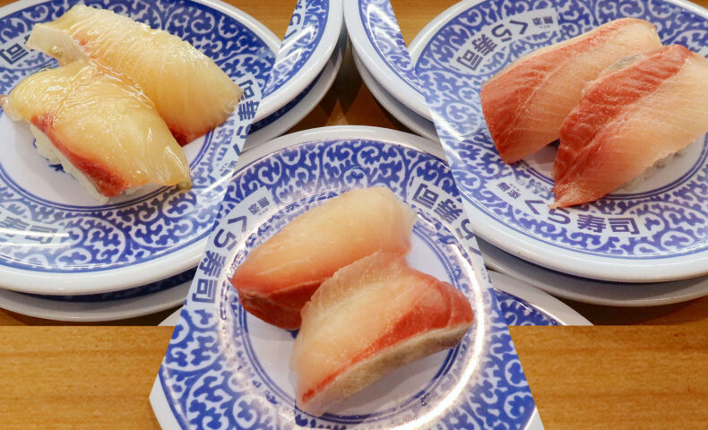 「くら寿司」でAIはまちといつものはまちとひらまさを食べ比べ！