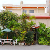 グリーンな沖縄そば屋「あじゃず」でグリーンなふーちばーそば＆菜めし
