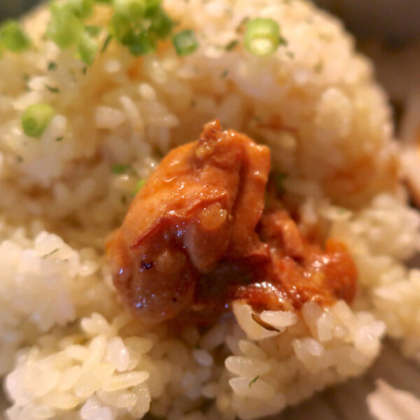 塩麹とカルダモンのチキンカレー