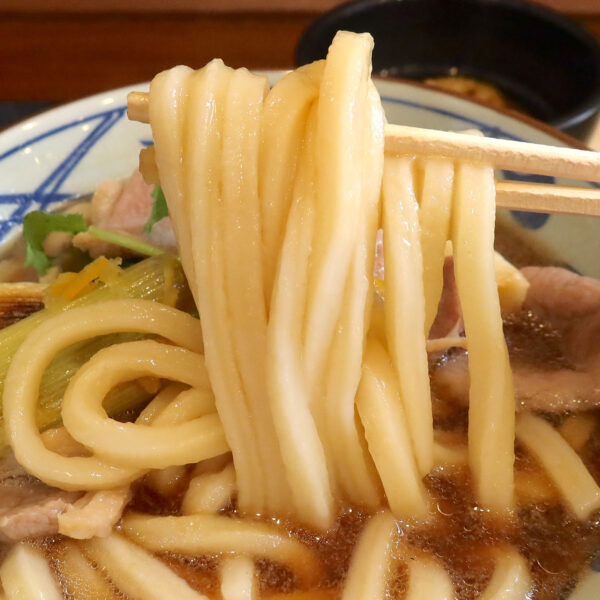 ぷるんとうどん、出汁がうんまい