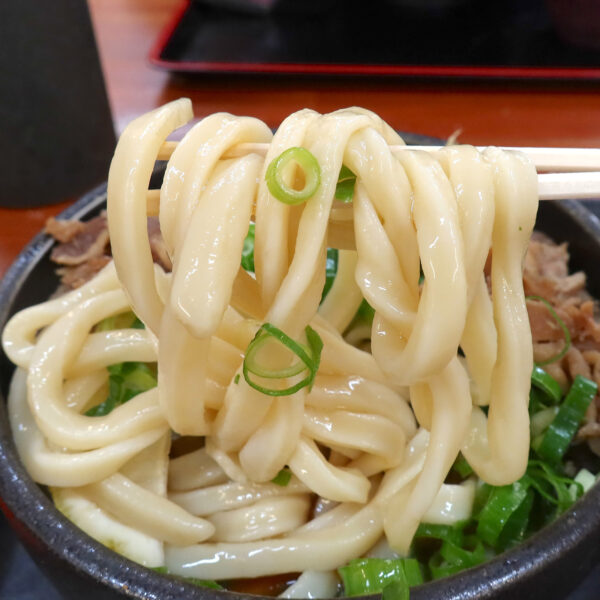 ごんぶとうどん