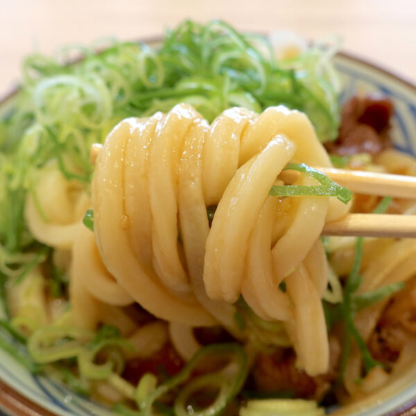 むちむちうどん