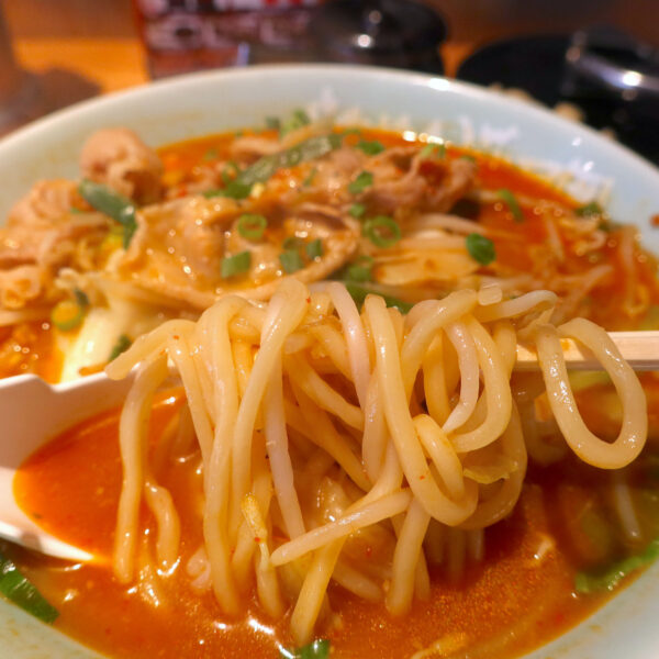 刺激的なスープに中太麺