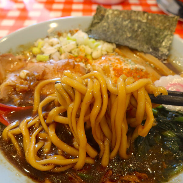 太麺 or 細麺