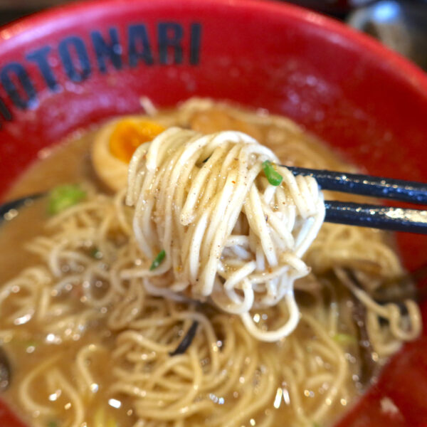 サバニンニク的濃厚ラーメン