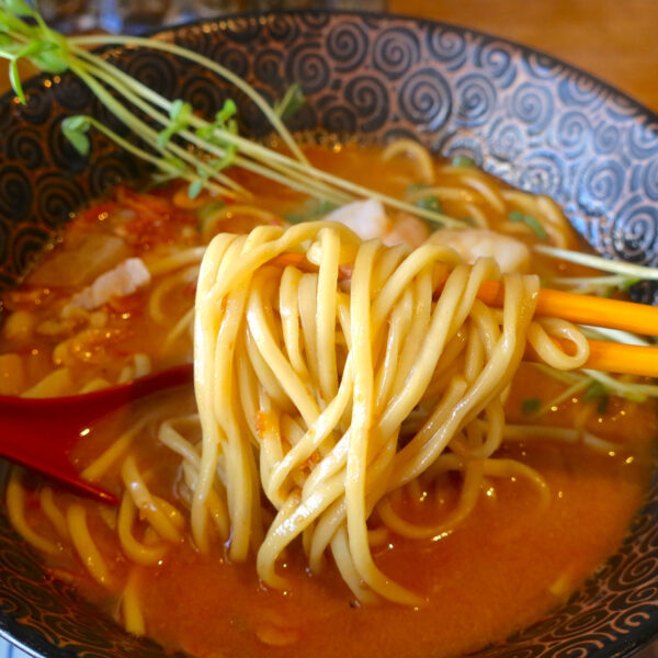 しっかり美味しい麺