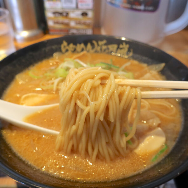 濃厚とん汁と中太麺