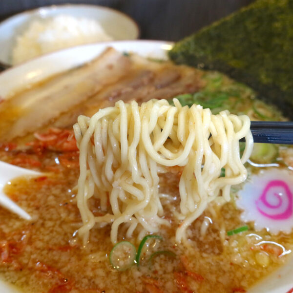 潮騒は縮れ麺