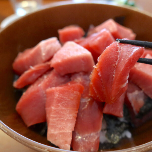 天然生本マグロ赤身
