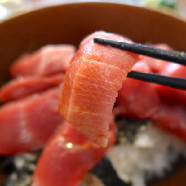 天然生本マグロ中トロ