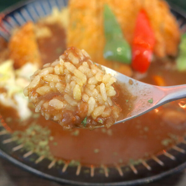 スープのようにさらりとしたカレー