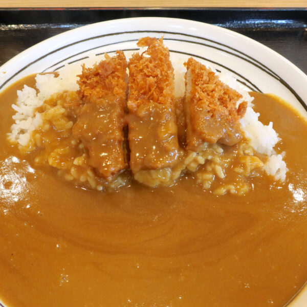 あれ、カツが小さい？