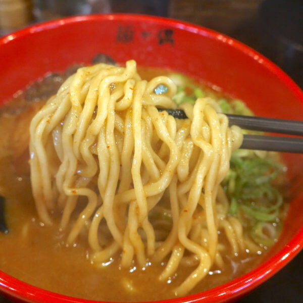 ぷるんと中細麺