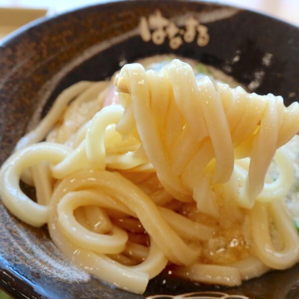 つるりうどん