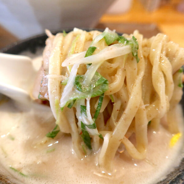 紫蘇やネギの風味もいい