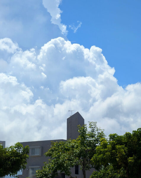 夏空を見ながら