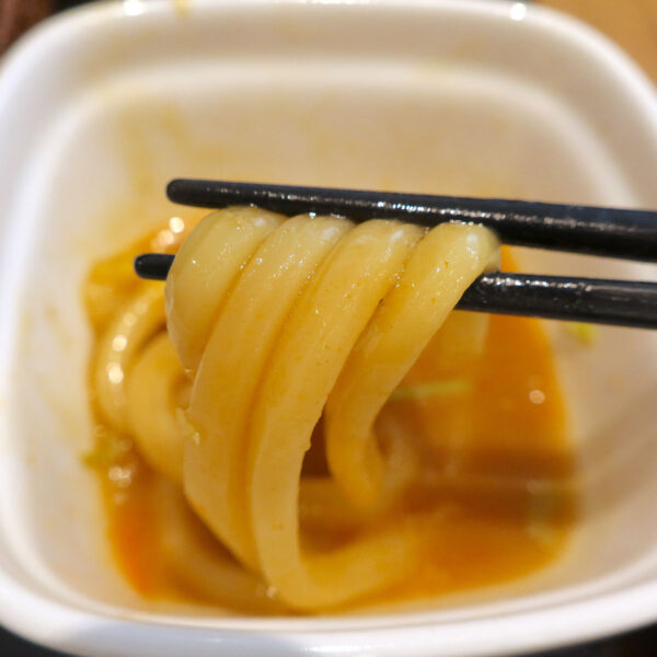 とんこつ醤油うどん