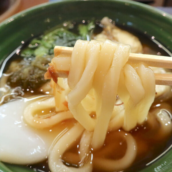 うどんと出汁がおいしい