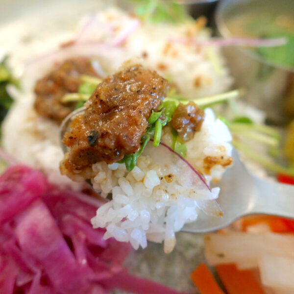 ローストスパイスチキンカレー