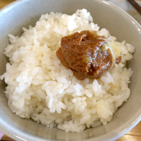 煮込みオンザライス