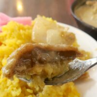 泉崎「串焼きとだしカレー。 マカト」で手仕込み馬カツグリーンカレー