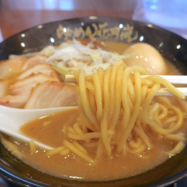 ちゃんぽん麺くらいの太さ