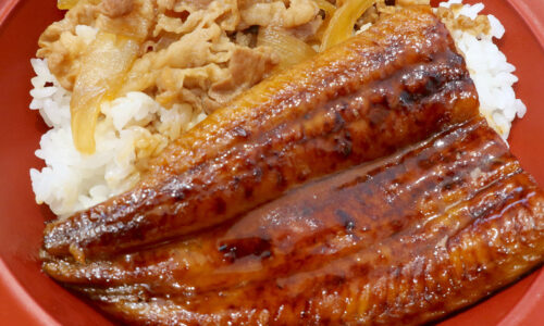 「すき家」でうな牛を食べたけど、うなぎもタレもあの全国チェーン店の方が美味しかった