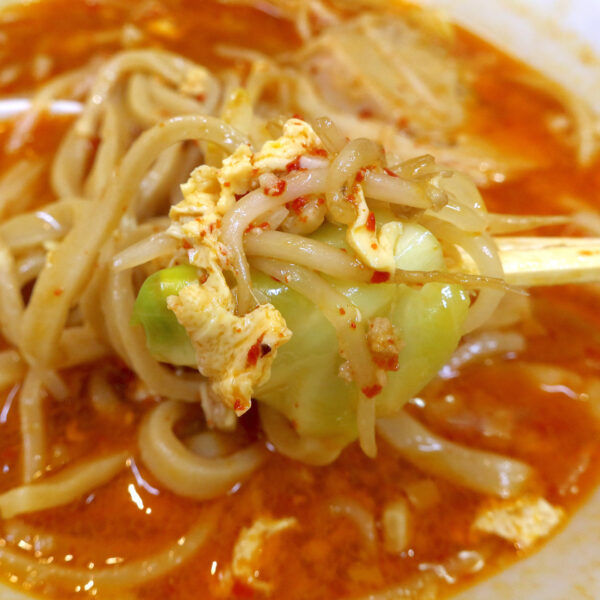 ニュータンタンメン的要素