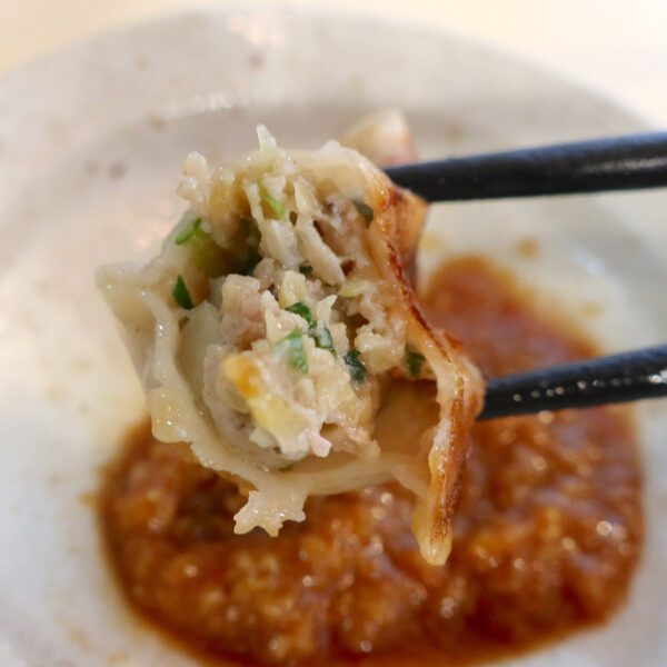 野菜が美味しい餃子