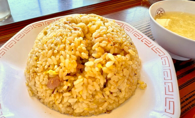 ショッピングセンターでの買い物ついでに「大阪王将」でガーリック炒飯