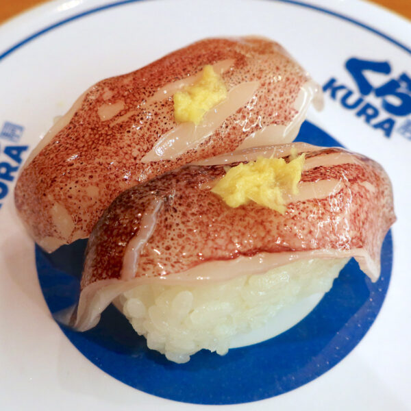 剣先いか（120円）