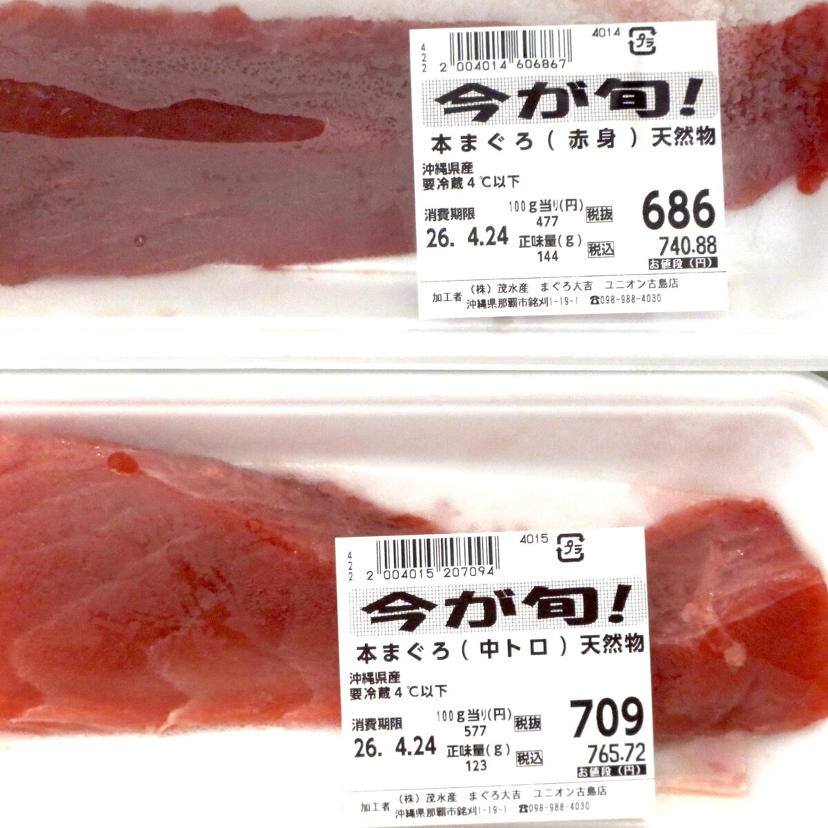 2026年の生本まぐろ