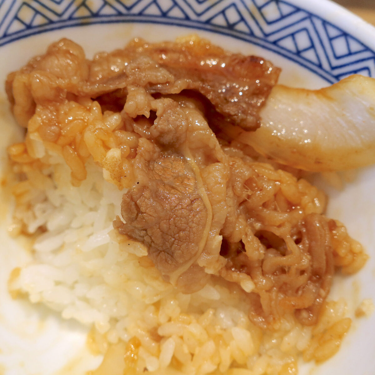 最後はお肉だけ