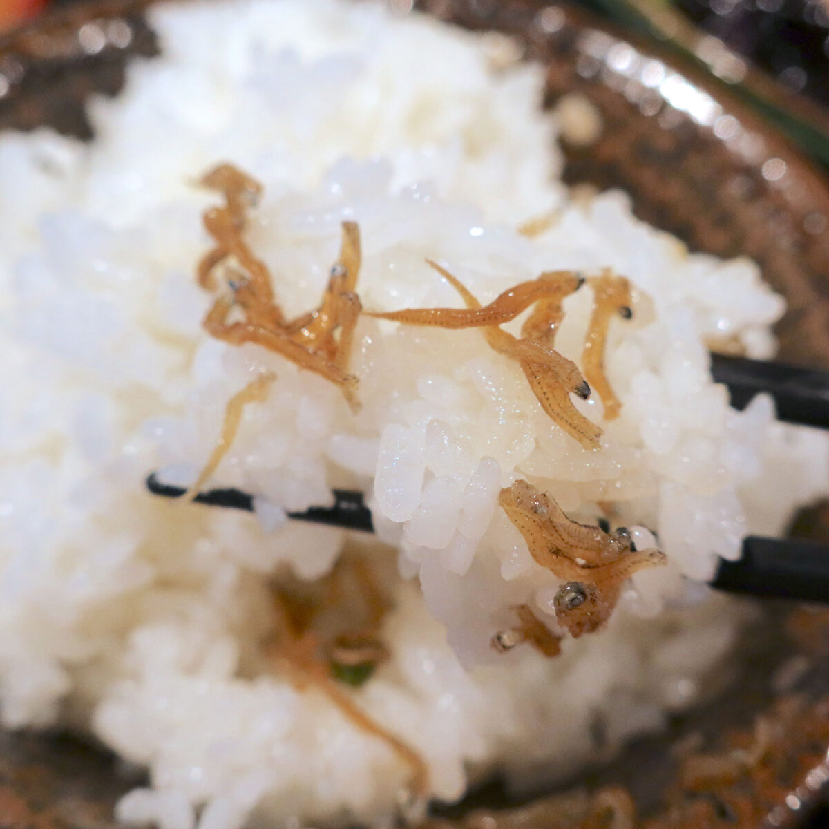 ちりめん山椒